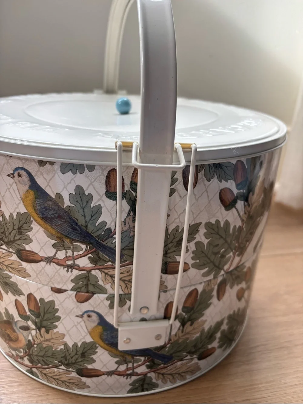 Target John Bird Whimsy Derian 2024 Thanksgiving Double Pie Tin Carrier